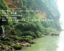 旅游可以延年益寿