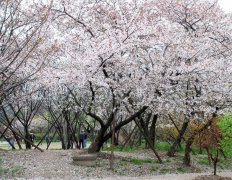 三月份去哪里旅游好